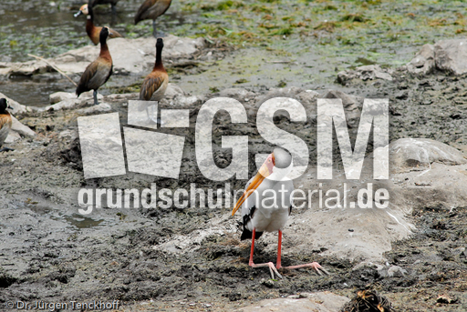 Nimmersatt (10 von 22).jpg